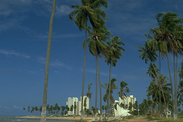 Alagoas